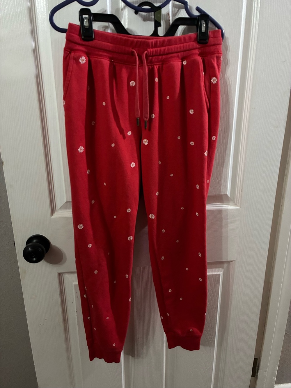 Women’s Medium Daisy-Print Jogger Sweatpants